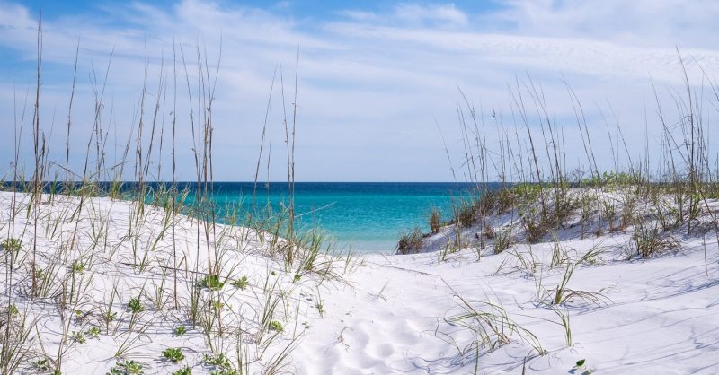 10 Things You Must Do on a Trip to Pensacola