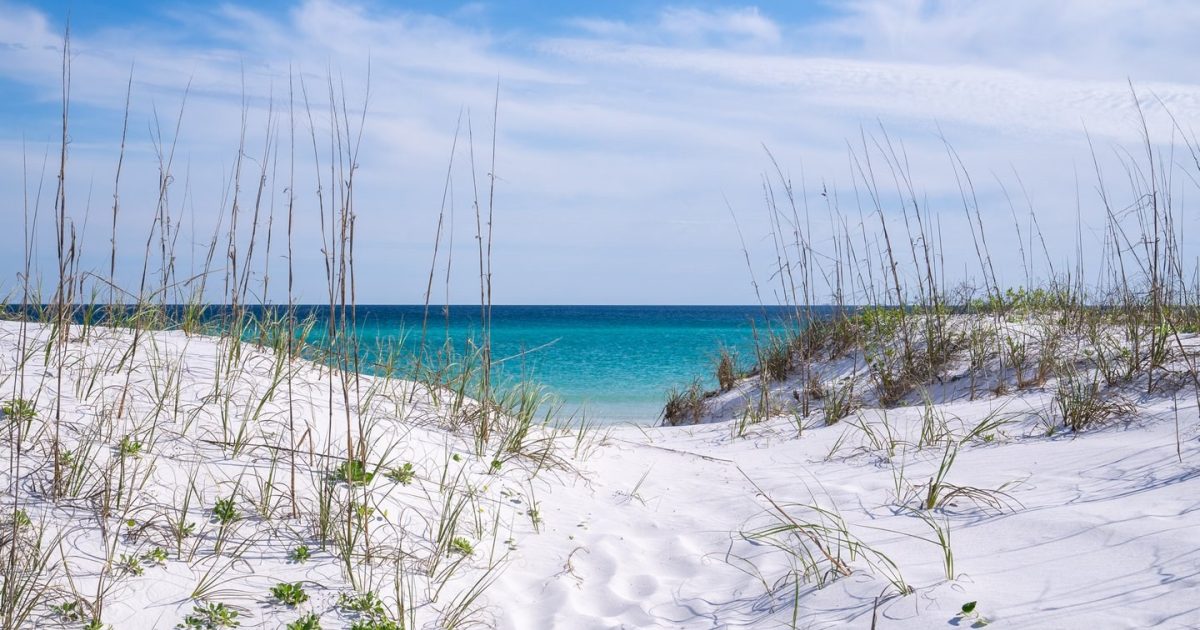 Learn more about Reel Eazy Charter on Pensacola Beach