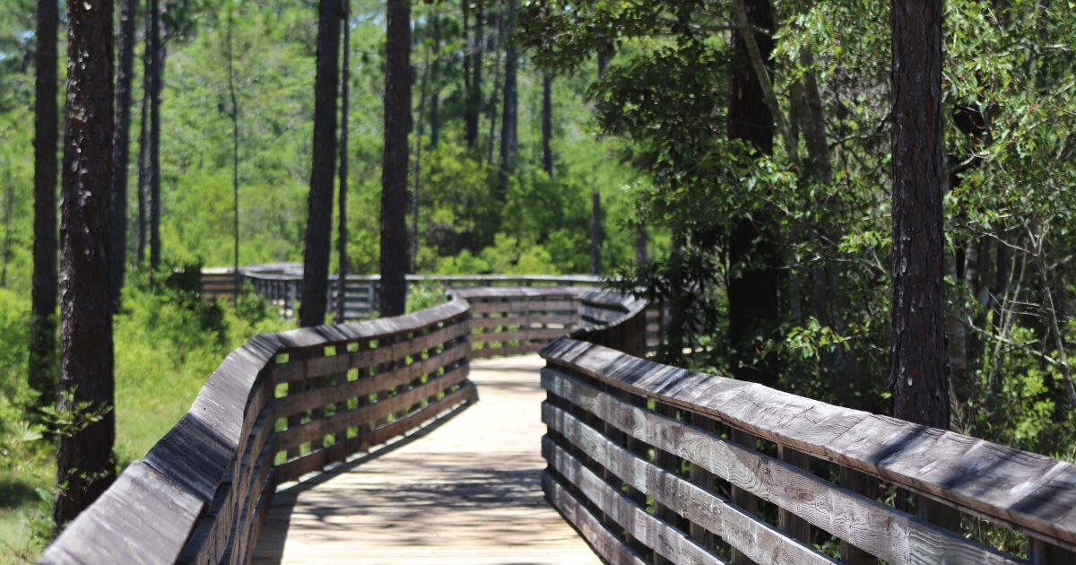 Pensacola Area Trails | Visit Pensacola